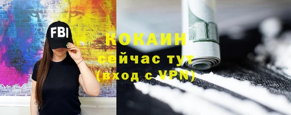 шишки Аркадак