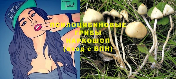 молекула духа Армянск