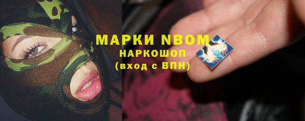 шишки Аркадак